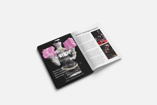 THE WEALTH MINDSET RESET: Free Guide